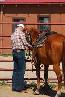 Tightening saddle cinch